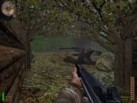 Medal of Honor Allied Assault - zrzut ekranu 3
