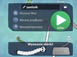 Snake (wąż) - zrzut ekranu 9