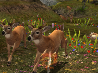 Deer Hunter 2014