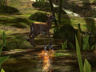 Deer Hunter 2014