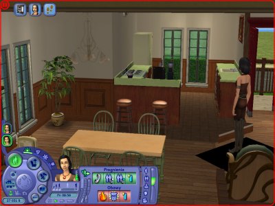 The Sims 2 Ultimate Collection - za darmo - zdjęcie 3