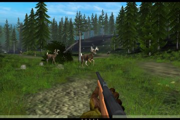 Deer Drive