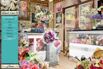 Dream Day Wedding