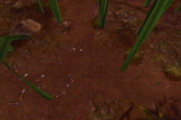 Empire of the Ants