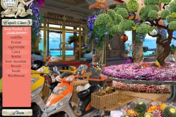 Dream Day Honeymoon